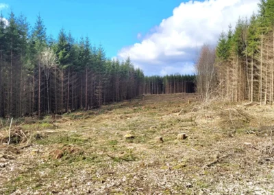 Gegenwind Hochbuehl Owingen Bodensee Eingriff Natur Hegaublick photo 2026 04 14 14 42 16 1920px