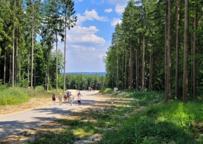 Gegenwind Hochbuehl Owingen Bodensee Eingriff Natur Huefingen 20250705 009 1920px