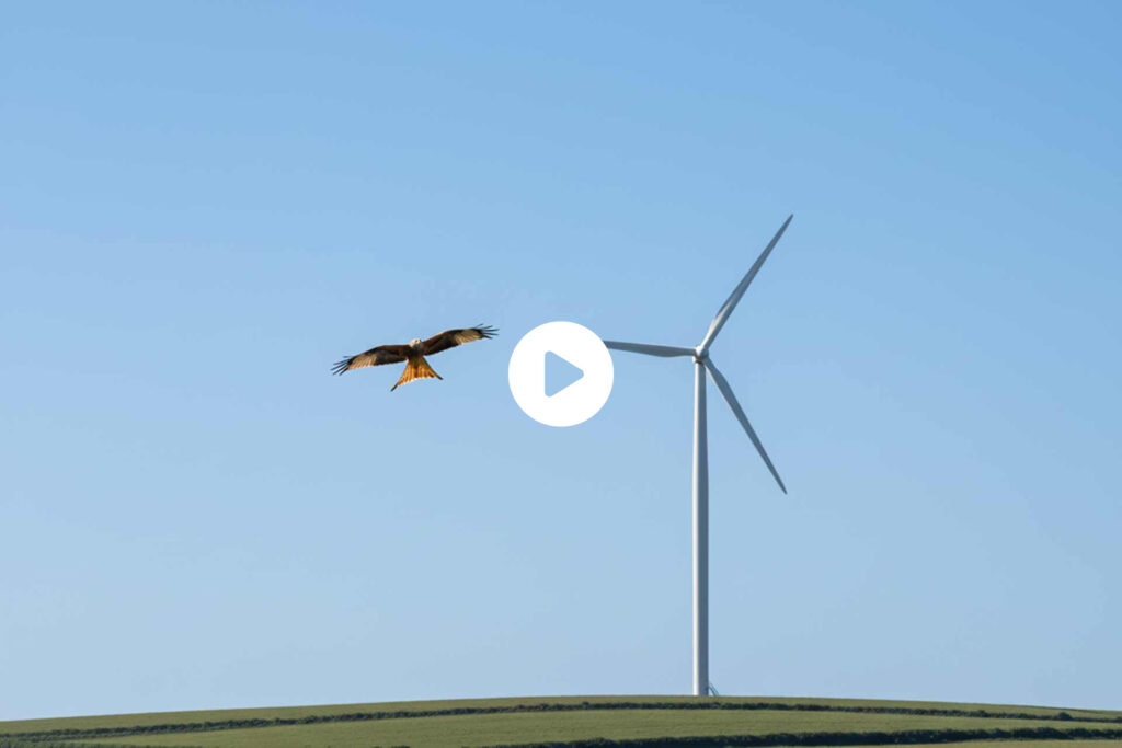 Gegenwind Hochbuehl Owingen Bodensee Windrad Rotmilan 2 01