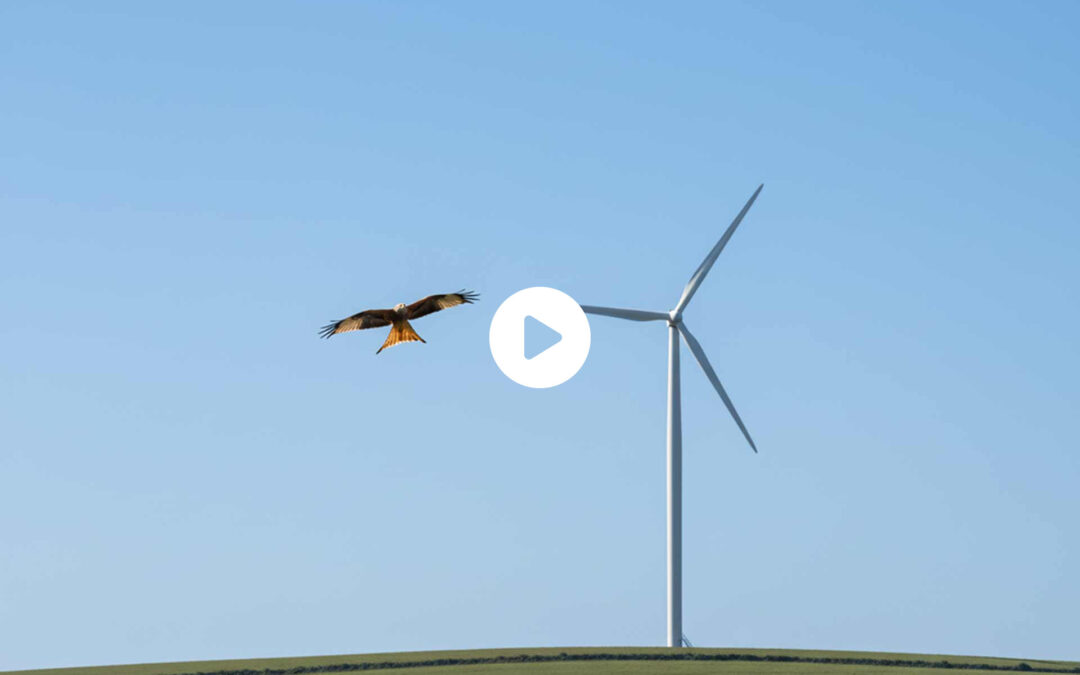 ZDF – Streitfall Windenergie