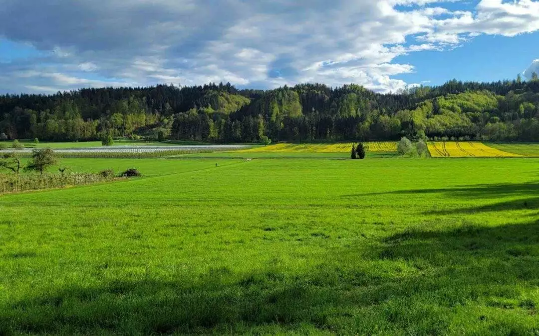 HOME 2 STELLUNGNAHMEN ZUM ZWEITEN ENTWURF DES REGIONALPLANS – AUFRUF DES GEGENWIND HOCHBÜHL E.V. FINDET 587 Unterzeichner!