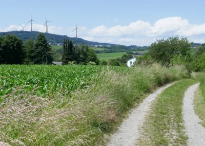 Gegenwind Hochbuehl Ulrich Bielefeld Bambergen 50mm 1920px