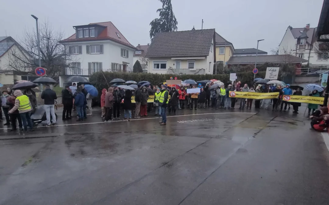 Mahnwache in Überlingen am 28. Januar 2026